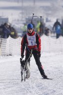 Lenk 2013